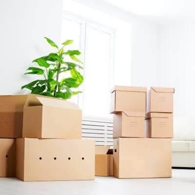 UNLOADING SERVICES